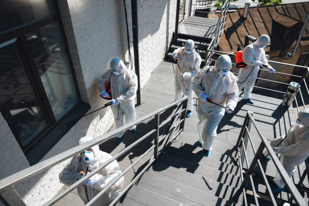 Reliable Prichard, AL Mold Removal Solutions